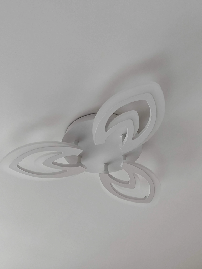 IMG_20231016_113243 (1).jpg