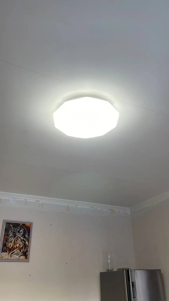 B64E316F_DEC6_474B_84CA_BD1A020ECF8C (1).jpg