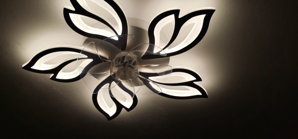 IMG_20250122_170539 (1).jpg