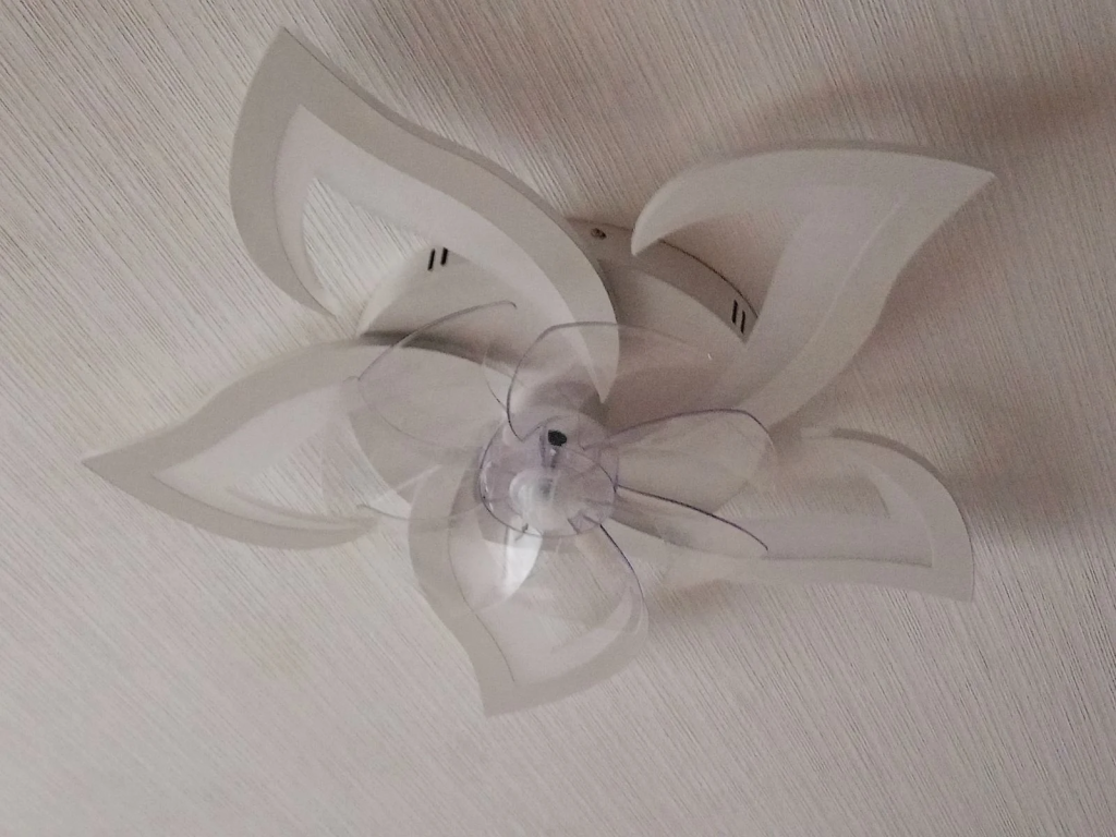 IMG_d8d4ee9a00cc926e57b98fc694278be0_V (1).jpg